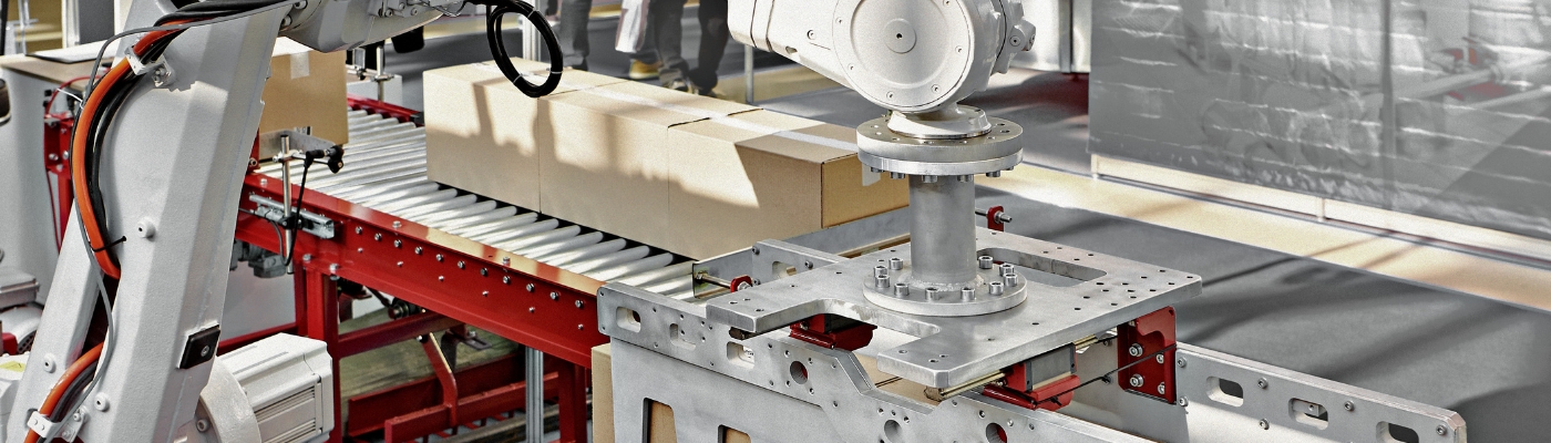 Automatisierte Palettierung von Kartons in der Verpackungsindustrie